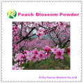High Quality 100% Natural Peach Blossom Powder